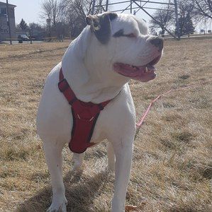 Meet your Posher, Kearstan